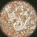 기장i동물의료센터 이미지