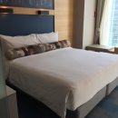 알로프트 서울 강남 호텔 이미지