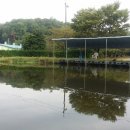 새미 낚시터 이미지