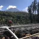 센트카페 이미지