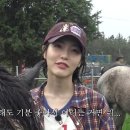 연진농장 뉴스엔