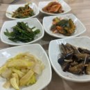 (저녁)이집트전통벨리댄스 | 이집트 2박 3일 여행 일정 및 후기 (2살 아이와 함께)
