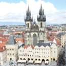 도브민박 이미지