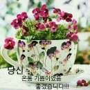 좋은하루 이미지