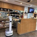 제주노조미 이미지