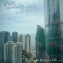 라인뷰