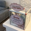 (주)디자인더호사 | 대구 동구 신암동 패디플래닝이랑 속눈썹펌 동시에 받은 하울라스틱 이벤트로 여름준비 완!