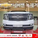 테로손일산점 이미지