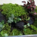 반곡지농촌체험휴양마을 이미지