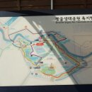 김홍도미술관 Daum카페