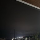 하얀바베르 이미지