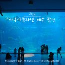 주식회사 제주해양과학관 | 겨울 제주도 여행 한화 아쿠아플라넷 제주 실내 관광지 추천