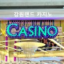 카지노 머신 앤 홀덤 | 강원도 여행 가볼만한 곳｜강원랜드 카지노(하이원리조트) 총정리 + 게임 종류·설명·방문 후기