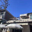 창원시청 | 창원 시청 카페 추천 컵넛 창원가로수점 도넛 맛집 솔직 후기