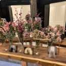 100번길 11 | W9. 본식스냅｜창원 본식 스냅 100번길 사진관 후기 견적 (feat. 마산 스카이뷰 본식 후기💍)