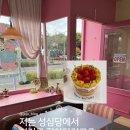 블로그제작&활용반 | 서귀포 케이크 버터떡 맛집 핑크베어 | 망고딸기케이크 주문 후기