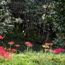 옥룡사지 이미지