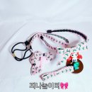 찌나놀이터