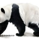 아이맘마 이미지