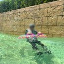 세븐일레븐 리버파크점 | 김해 장유 롯데워터파크 골드시즌 평일 오픈런 놀이 기구 대기시간 준비물