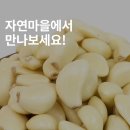 경북깐마늘 이미지