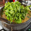 유동 | [광주] 영미오리탕 : 광주 유동 오리탕 맛집 주말 방문 솔직후기