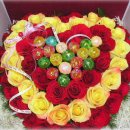 조은하루 이미지