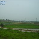 망성선리보건진료소 이미지