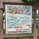 구좌체육공원 이미지