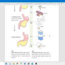 "음식물이 위에서 머무는 시간"/2021.5.2(주일) 이미지