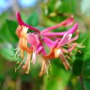 봉양농장 이미지