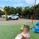 베르아델승마클럽 | [ 대부도 캠핑 아기랑 ] 베르아델승마클럽 캠핑장 - 말을 가까이에서!