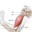 운동J GYM 이미지