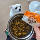 멍냥스푼 | 우리집 강아지화식사료는 '멍냥밥상연구소'에서 첫 시작!