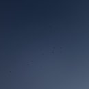 개어비앤비 | 삿포로 가족여행 숙소 추천｜우에다 멘션 에어비앤비 실제 후기