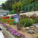 포항시북구1 이미지