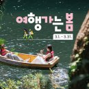 나만의도자기만들기포슬린아트 이미지