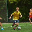 바로새김태권도장 이미지