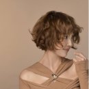 최은경 카카오 검색결과