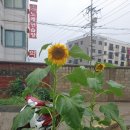 이재두 행정사 네이버블로그