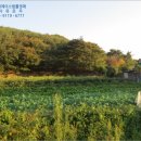 옥산리목장 이미지