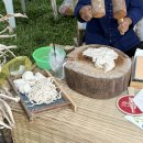 선데이 | [치앙마이] 치앙마이 야시장 선데이마켓 후기 (로티맨 추천)