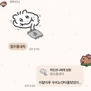 벤투런 | 20240631~20240706