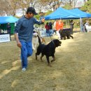 연암축산 이미지