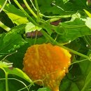 송탄근린공원 이미지