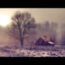통나무집./.이름없는새./.Holiday./.첨밀밀 이미지