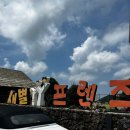 한라산노동조합 | 나랑 알파카 먹이주고 물놀이 하러 갈래? | 제주 여행, 제주 맛집, 제주 서쪽 데이트, 제주 데이트코스...