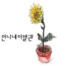 언니네 이발관 콘서트 이미지