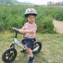 현대울산블루독 이미지