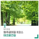 원주굽이길 8코스 태조왕건길 | [원주 가볼 만한 곳] 가을이 찾아오는 원주굽이길8코스, 태조왕건길